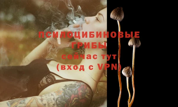 экстази Алексин