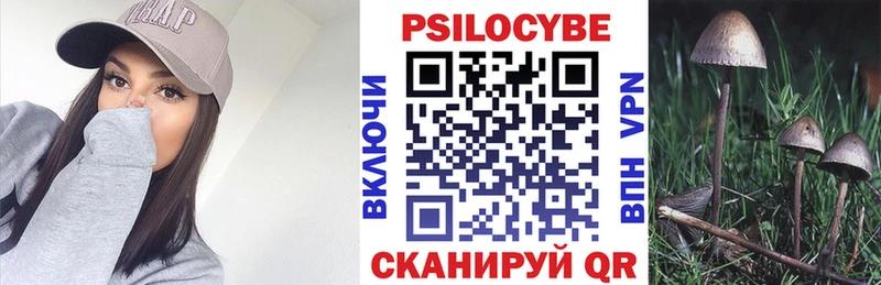 Псилоцибиновые грибы мухоморы  MEGA сайт  Щёлково  купить закладку 